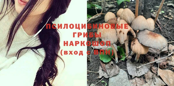 дурь Балахна