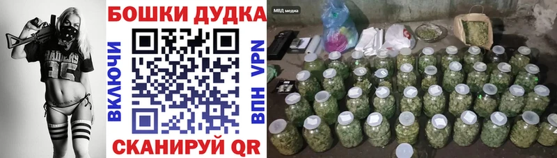 Канабис семена  Новотитаровская 